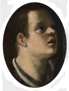 Testa Di Ragazzo by Astolfo Petrazzi