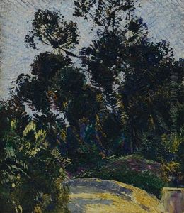 Alberi, Cava Dei Tirreni by Vittorio Petrella Da Bologna