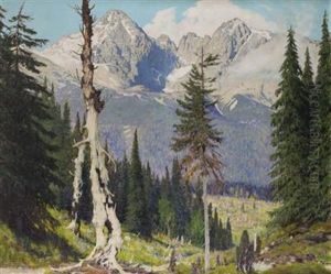 Langkofel Und Plattkofel In Sudtirol (sellagruppe)