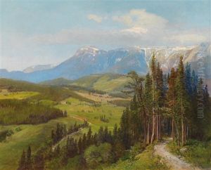 View Of The Rax Region