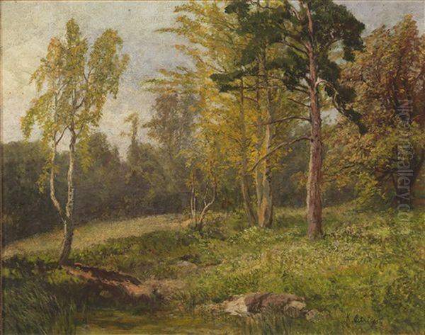 Woodland Landscape - view 1