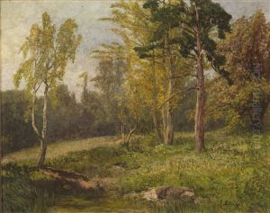 Woodland Landscape