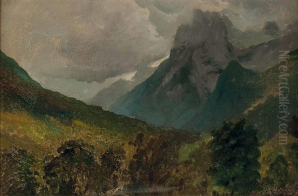 Aufziehendes Gewitter Im Ennstal - view 1