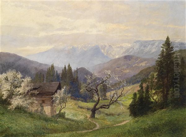 Fruhling, Im Hintergrund Schnee Bedeckte Berge - view 1
