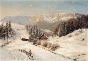 Winter Scene From The Alps