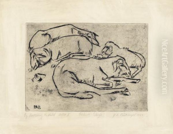 Ruhende Schafe - view 1