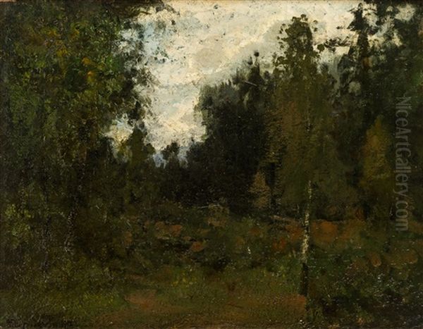 Landscape - view 1