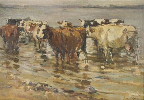 Cows Drinking Water - view 1