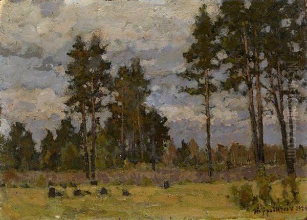 Pine Trees In A Clearing - view 1