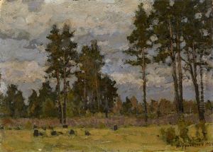 Pine Trees In A Clearing