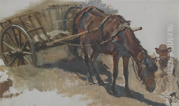 Hungarian Cart With Seated Farmer - view 1