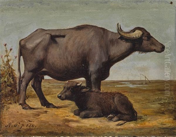 Wasserbuffel In Der Puszta - view 1