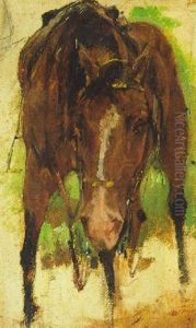 Gesattelter Brauner