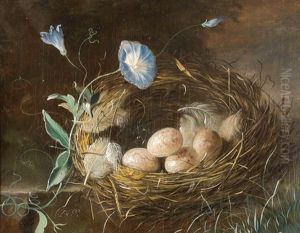 Stilleben Mit Vogelnest by Franz Xaver Petter
