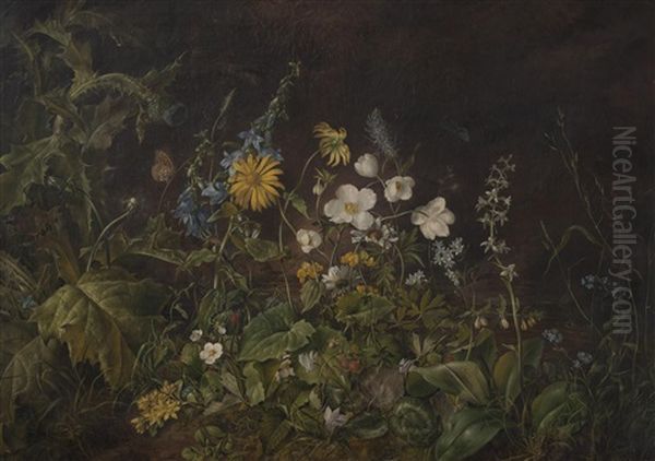Alpine Flowers - view 1