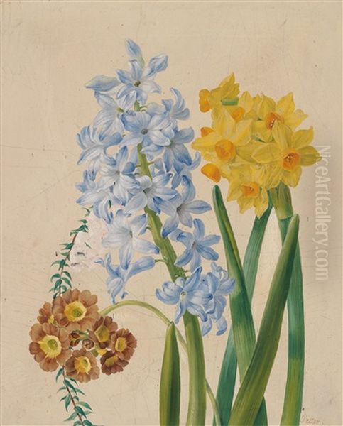 Narzissen, Hyazinthen Und Schlusselblume - view 1