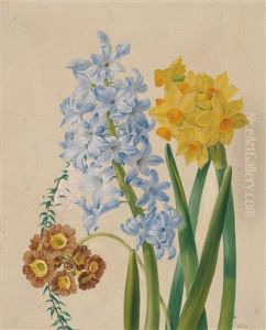 Narzissen, Hyazinthen Und Schlusselblume