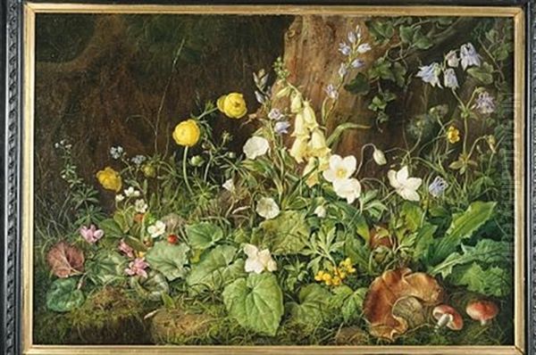 Wildflowers - view 1
