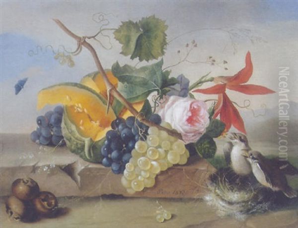 Blumen Und Fruchtestilleben Mit Vogelnest - view 1
