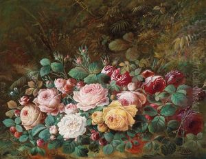 Rosenstuck Am Waldboden