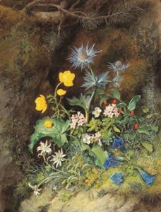 Stilleben Mit Alpenblumen; Edelweis,trollblume, Streifenfarn, Latsche, Alpen-mannestreu, Almrausch,weiser Alpenmohn Und Knotenfus Stilleben Mit Alpenblumen; Edelweis,trollblume, Streifenfarn, Latsche, Alpen-mannestreu, Almrausch,weiser Alpenmohn Und Knotenfus