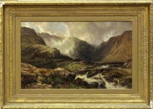 Spring Rapids