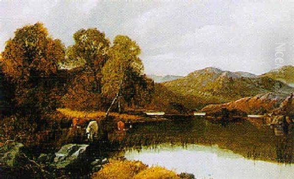 Cattle Watering At The Edge Of A Lake - view 1