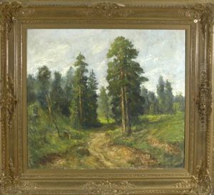 Waldlandschaft Mit Schmalem Weg Waldlandschaft Mit Schmalem Weg