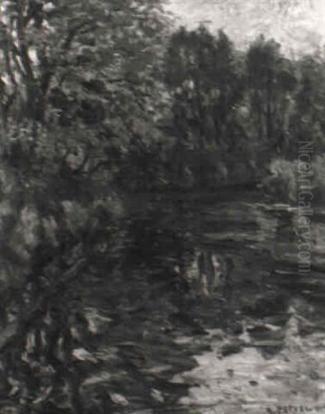 Teich, Umgeben Von Baumen - view 1