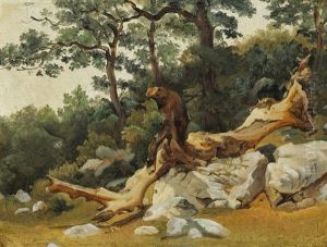 Landscape With Rocks And A Dead Tree Trunk Landscape With Rocks And A Dead Tree Trunk