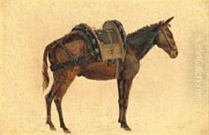 A Saddled Donkey, Seen From The Side by Fritz Petzholdt