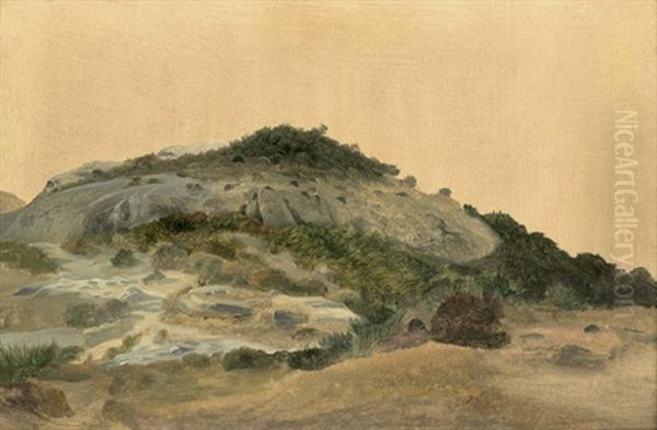 Studie Eines Felsens Mit Grasern - view 1
