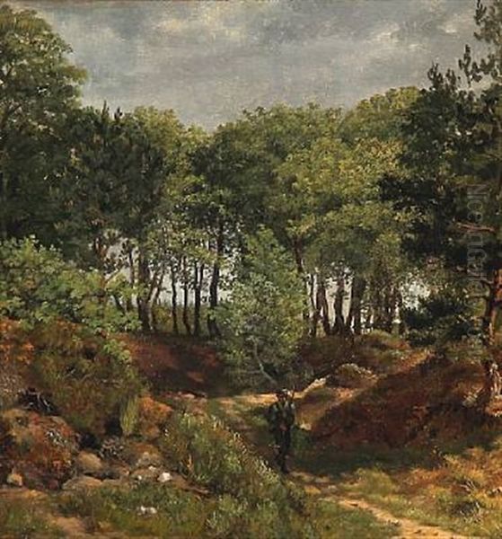 A Hunter In A Forest, A Summerday - view 1