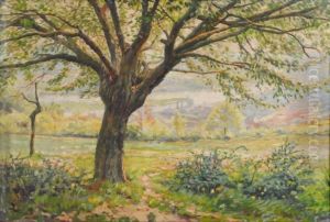 Vue De Campagne Vue De Campagne