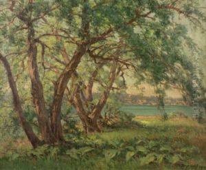 Summer Morning by Frank Charles Peyraud