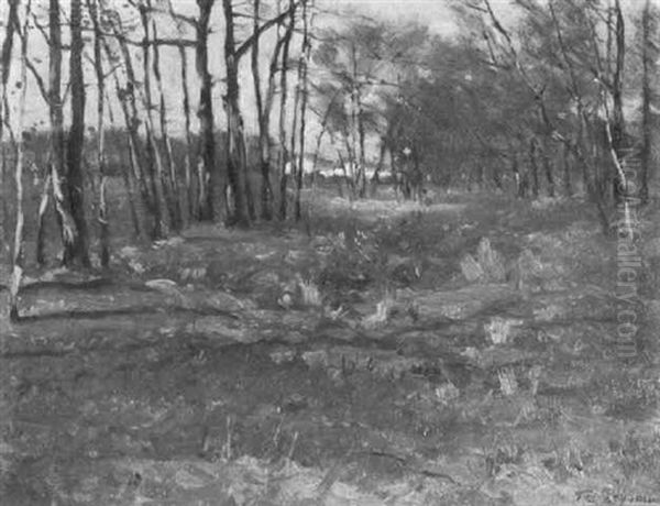 The Field's Edge As Winter Approaches - view 1