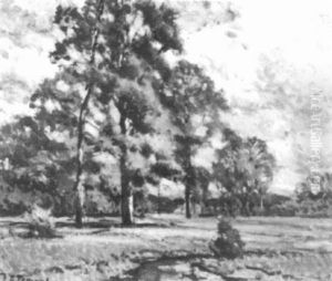 Landscape Landscape