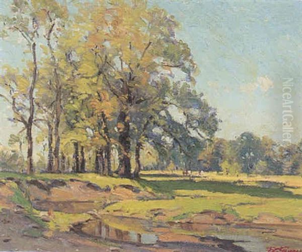 Summer Landscape - view 1