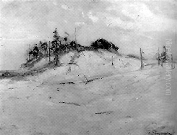 The Top Of The Dune - view 1