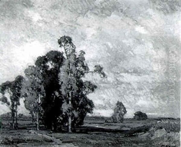 Illinois Landscape - view 1