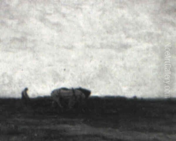 Plowing - view 1