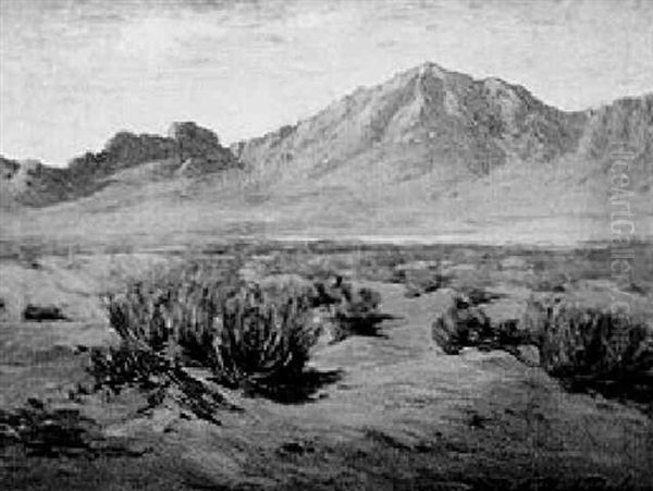Desert And Distant Mountains - view 1