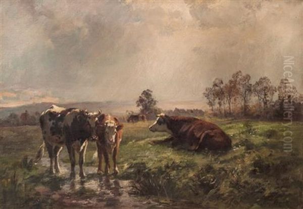 Cows Watering - view 1