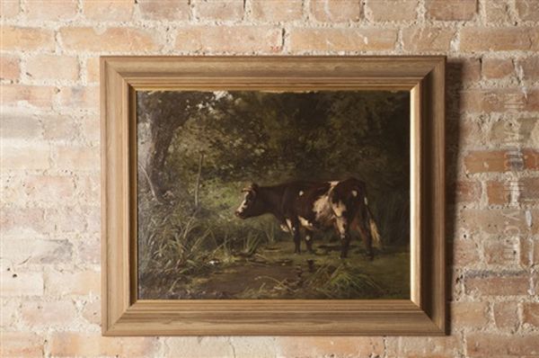 Vache Dans Un Pre - view 1