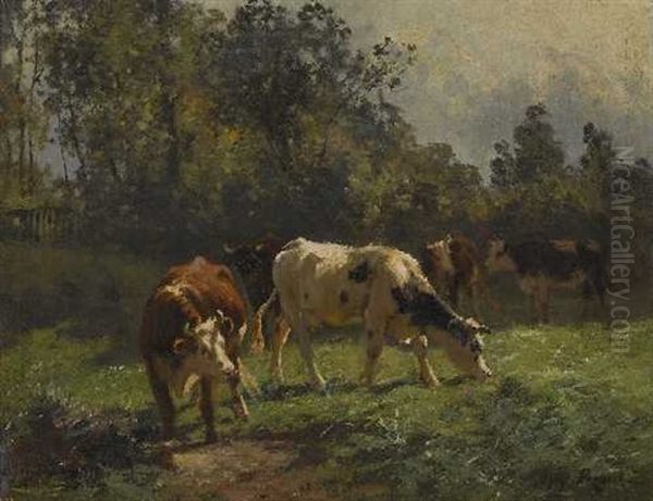 Rinder Auf Der Weide - view 1