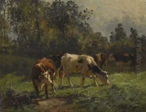 Rinder Auf Der Weide Rinder Auf Der Weide