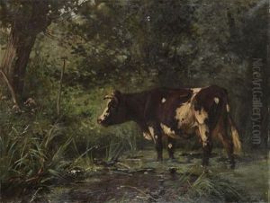 Cow Near The Watering Place In The Forest by Aymar Pezant