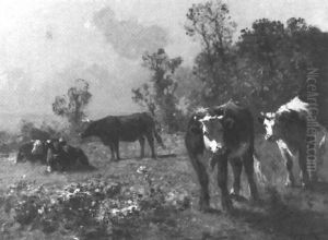 Kuhe Auf Der Weide Kuhe Auf Der Weide