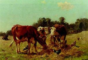 Cattle Feeding In A Meadow