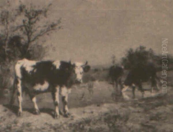 Cows By The River - view 1